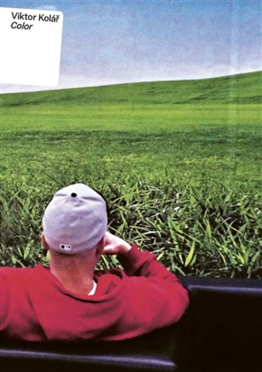 Kniha Viktor Kolář: Color