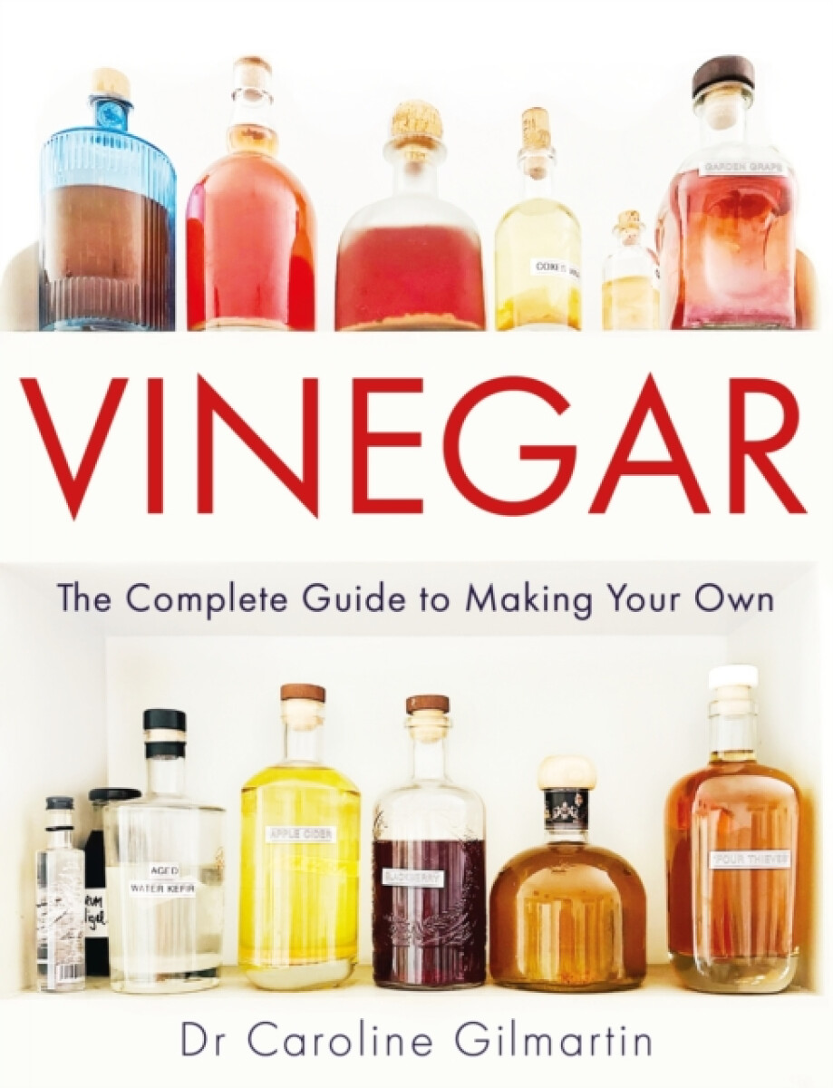 Kniha Vinegar
