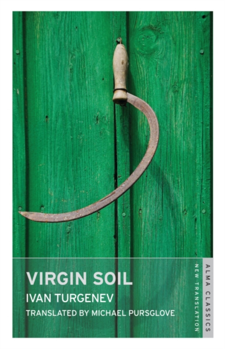 Kniha Virgin Soil: New Translation