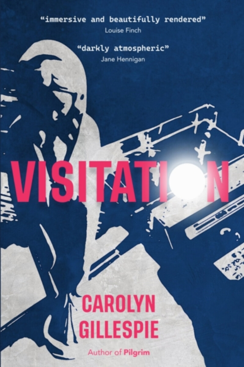 Kniha Visitation