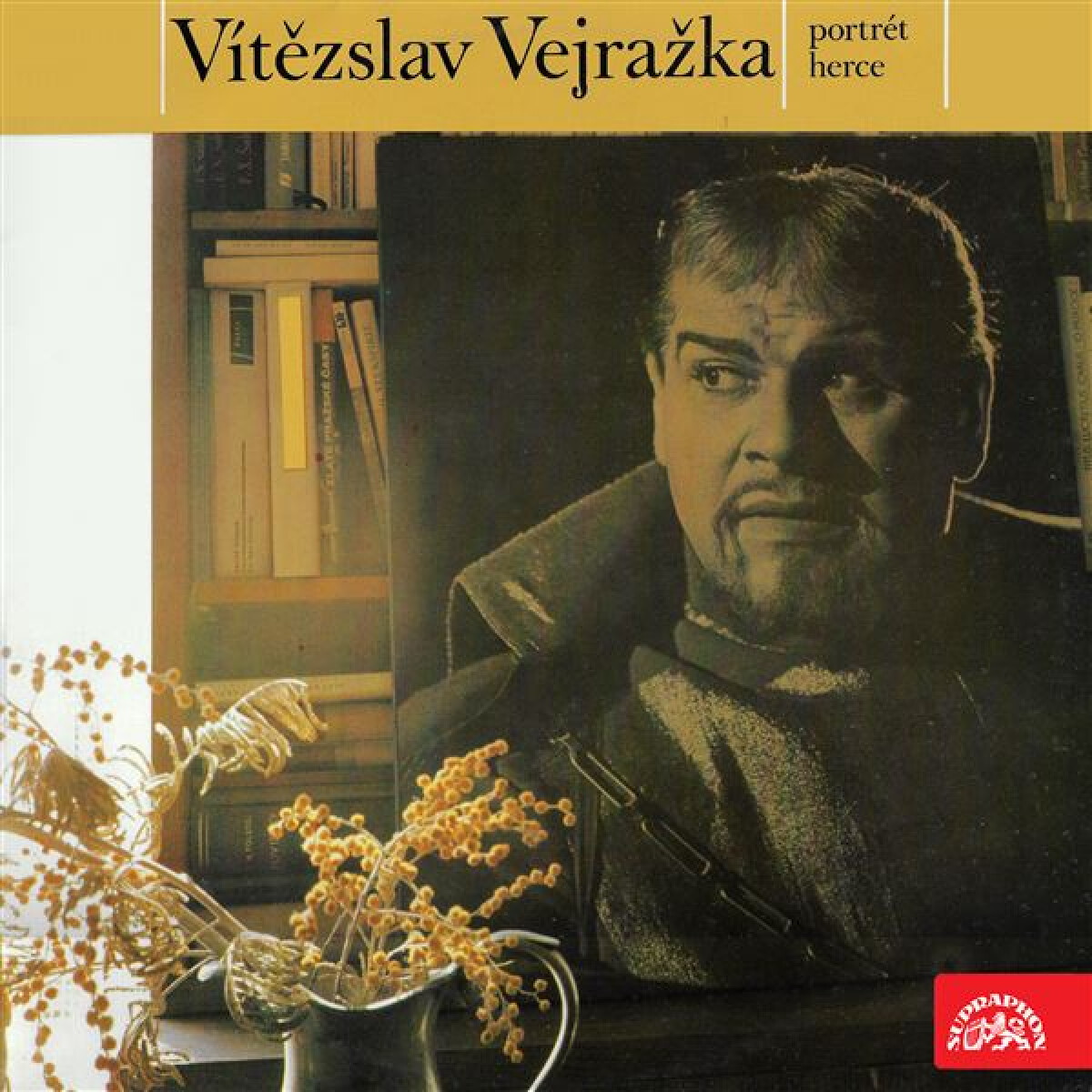 Levně Vítězslav Vejražka - Potrét herce - audiokniha