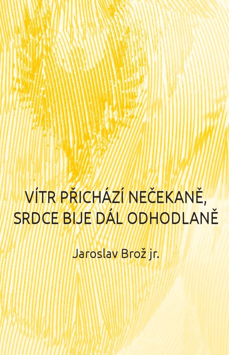 Vítr přichází nečekaně, srdce bije dál odhodlaně - Jaroslav Brož