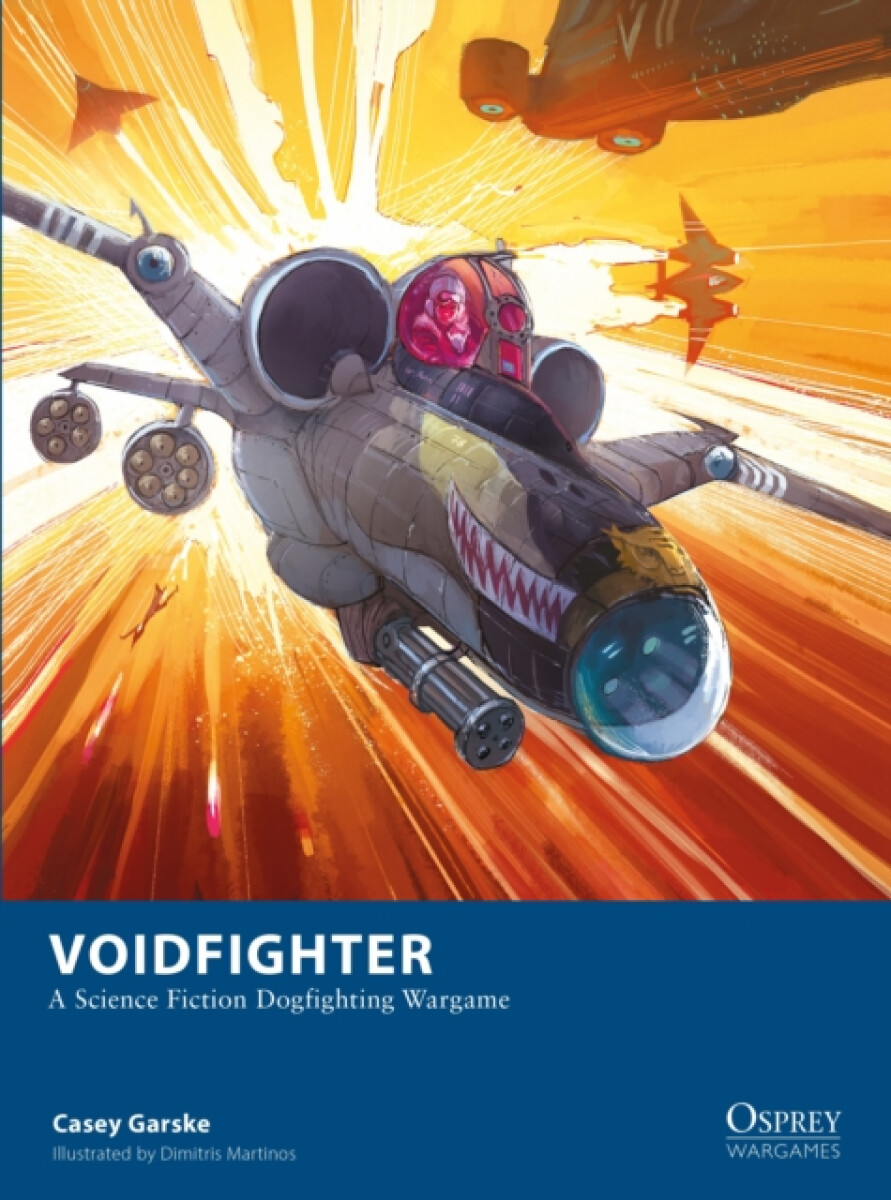 Kniha Voidfighter