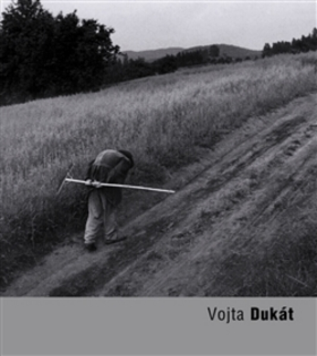 Kniha Vojta Dukát