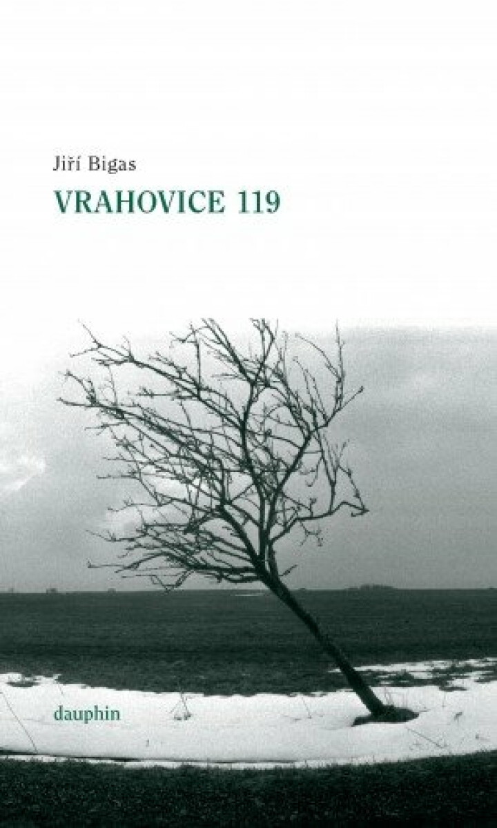 Vrahovice 119 - Jiří Bigas