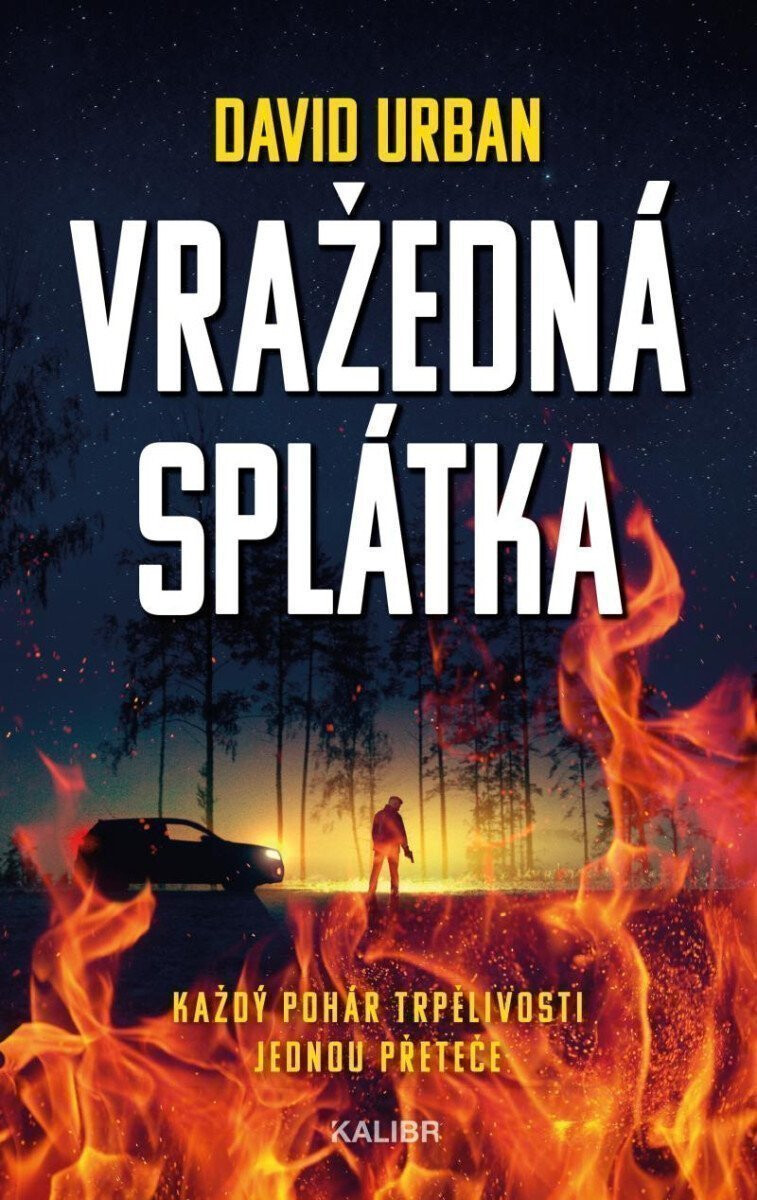 Kniha Vražedná splátka