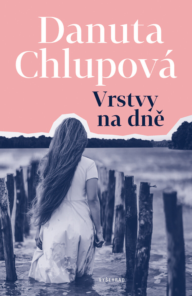 Levně Vrstvy na dně - Danuta Chlupová