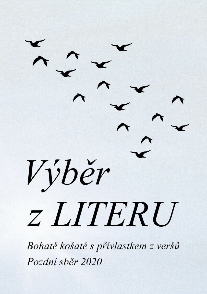 Výběr z LITERU - Čeněk Pekař