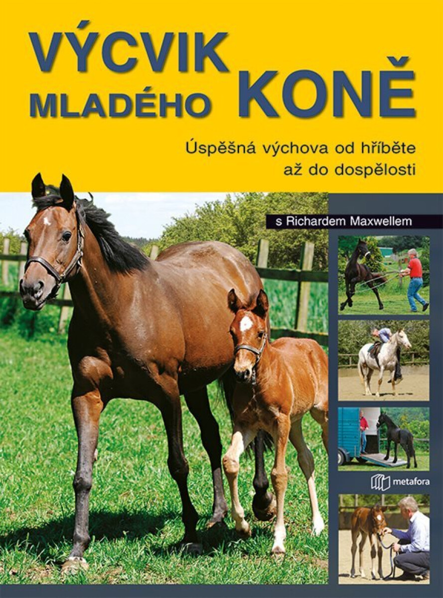 Kniha Výchova mladého koně