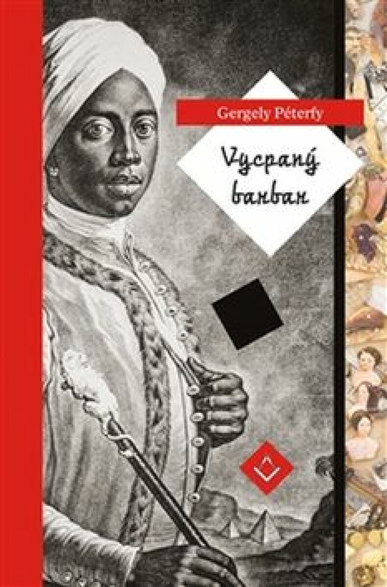 Kniha Vycpaný barbar