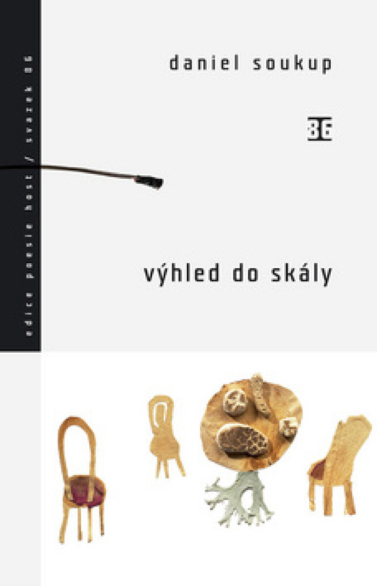 Kniha Výhled do skály