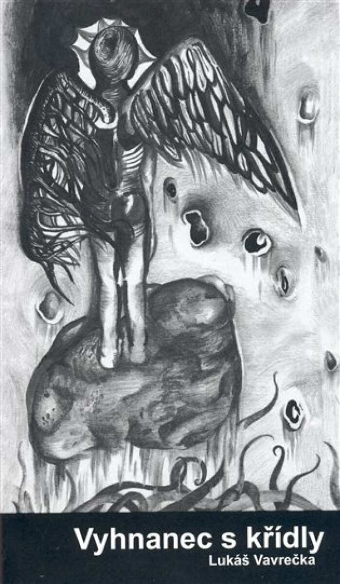 Kniha Vyhnanec s křídly