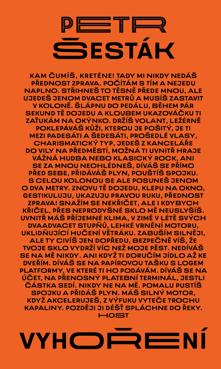 Vyhoření - Petr Šesták