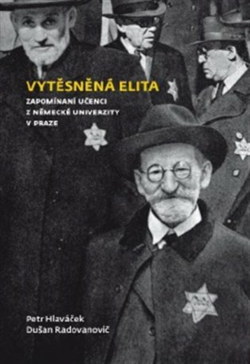 Kniha Vytěsněná elita