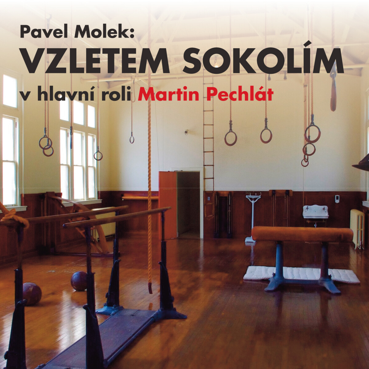 Levně Vzletem sokolím - Pavel Molek - audiokniha