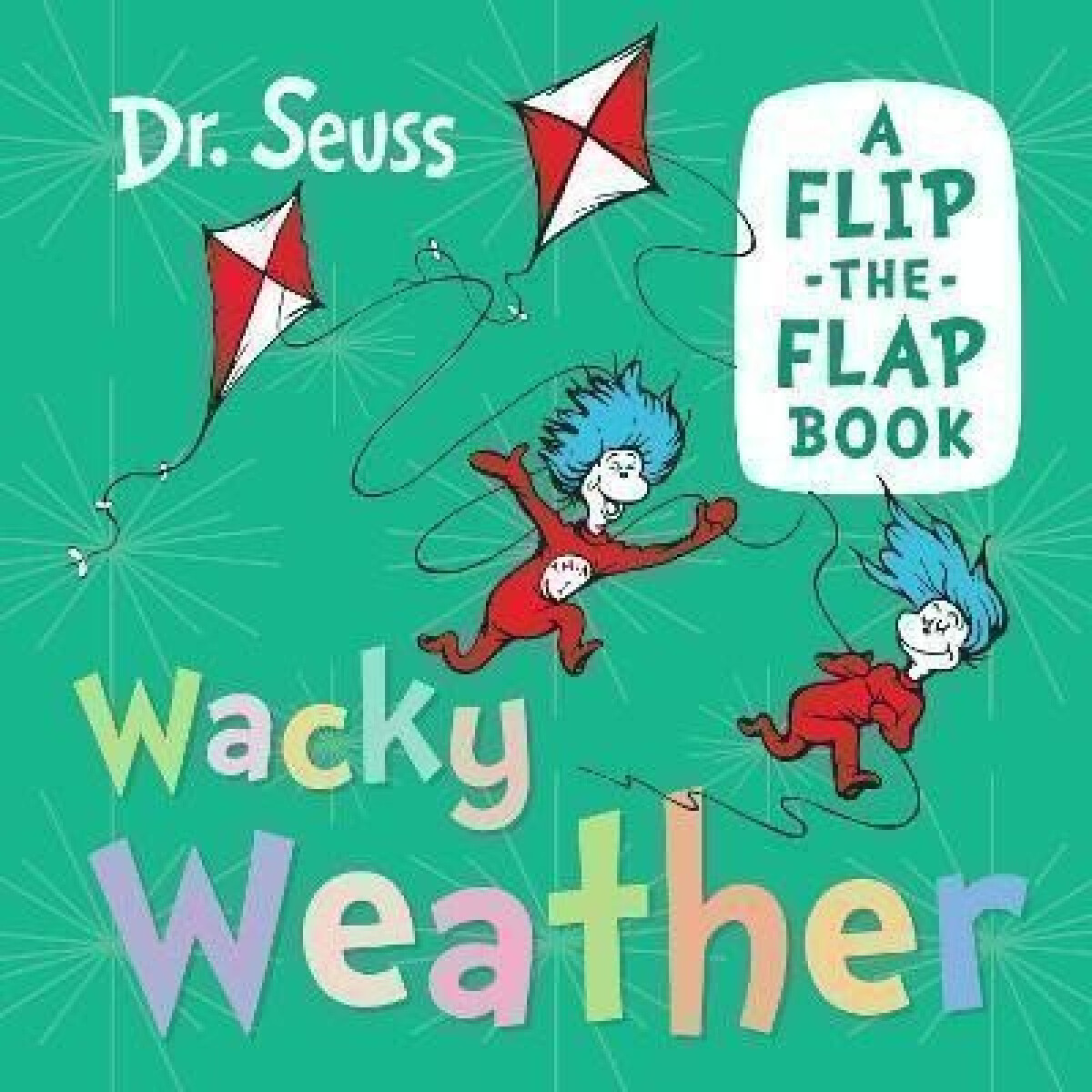 Kniha Wacky Weather
