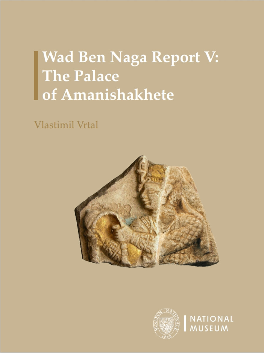 Levně Wad Ben Naga Report V. - Vlastimil Vrtal