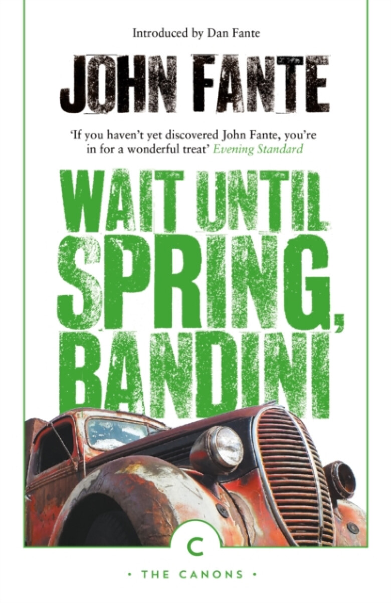Kniha Wait Until Spring, Bandini