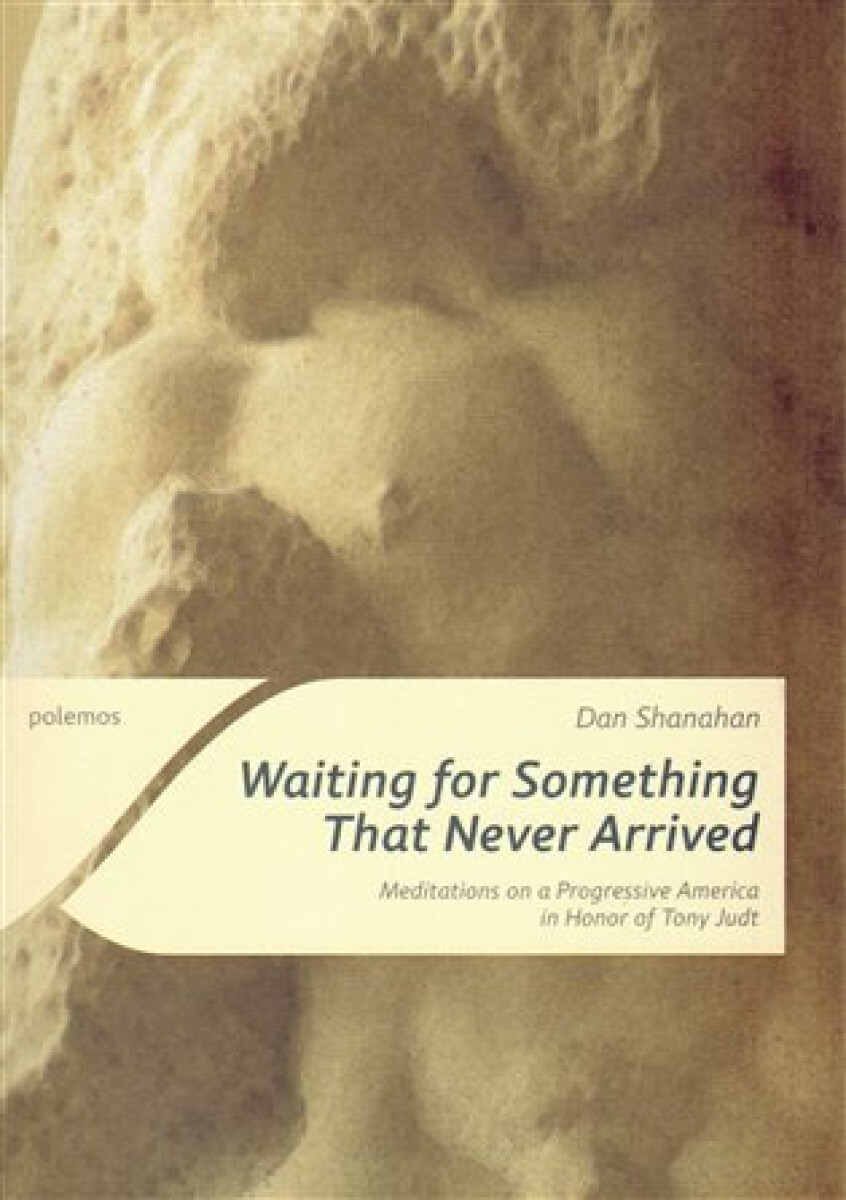 Kniha Waiting for Something That Never Arrived - Meditations on a Progressive America in Honor of Tony Judt