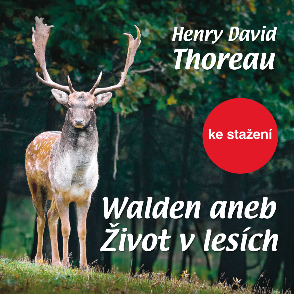 Levně Walden aneb Život v lesích - Henry David Thoreau - audiokniha