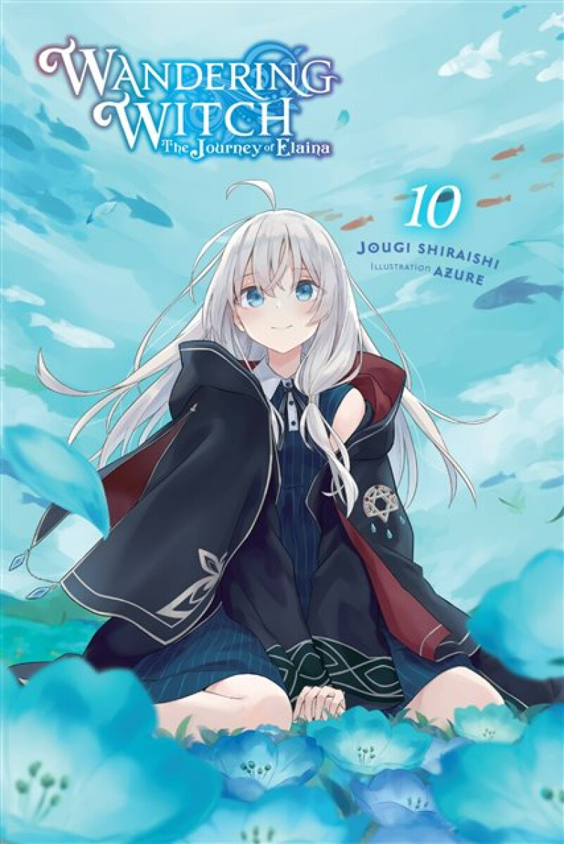 Kniha Wandering Witch: The Journey of Elaina, Vol. 10 (light novel)