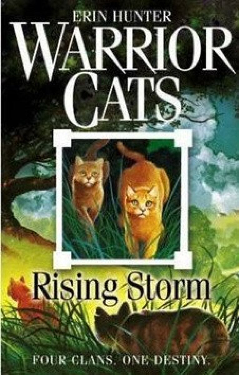Kniha Rising Storm