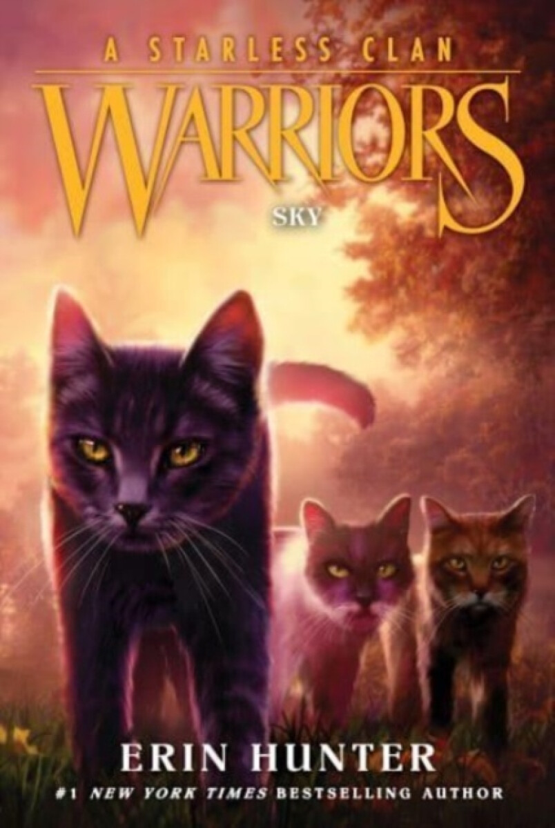 Kniha Warriors: A Starless Clan #2: Sky