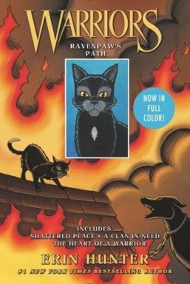 Kniha Warriors: Ravenpaw's Path