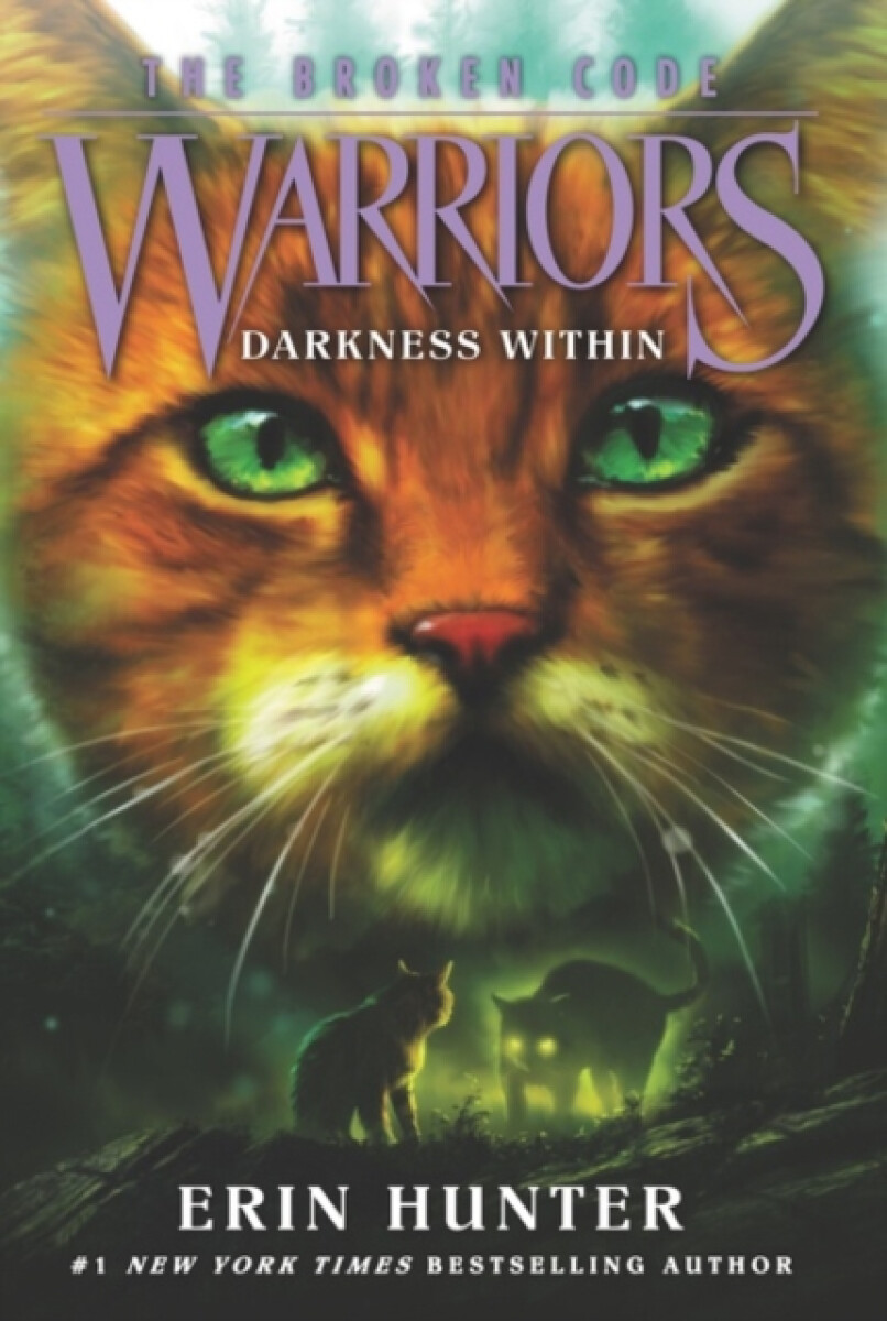 Kniha Warriors: The Broken Code #4: Darkness Within
