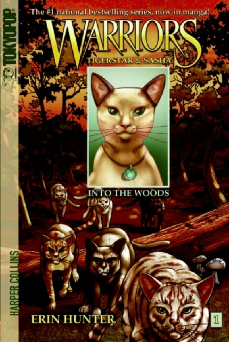 Kniha Warriors: Tigerstar and Sasha #1: Into the Woods