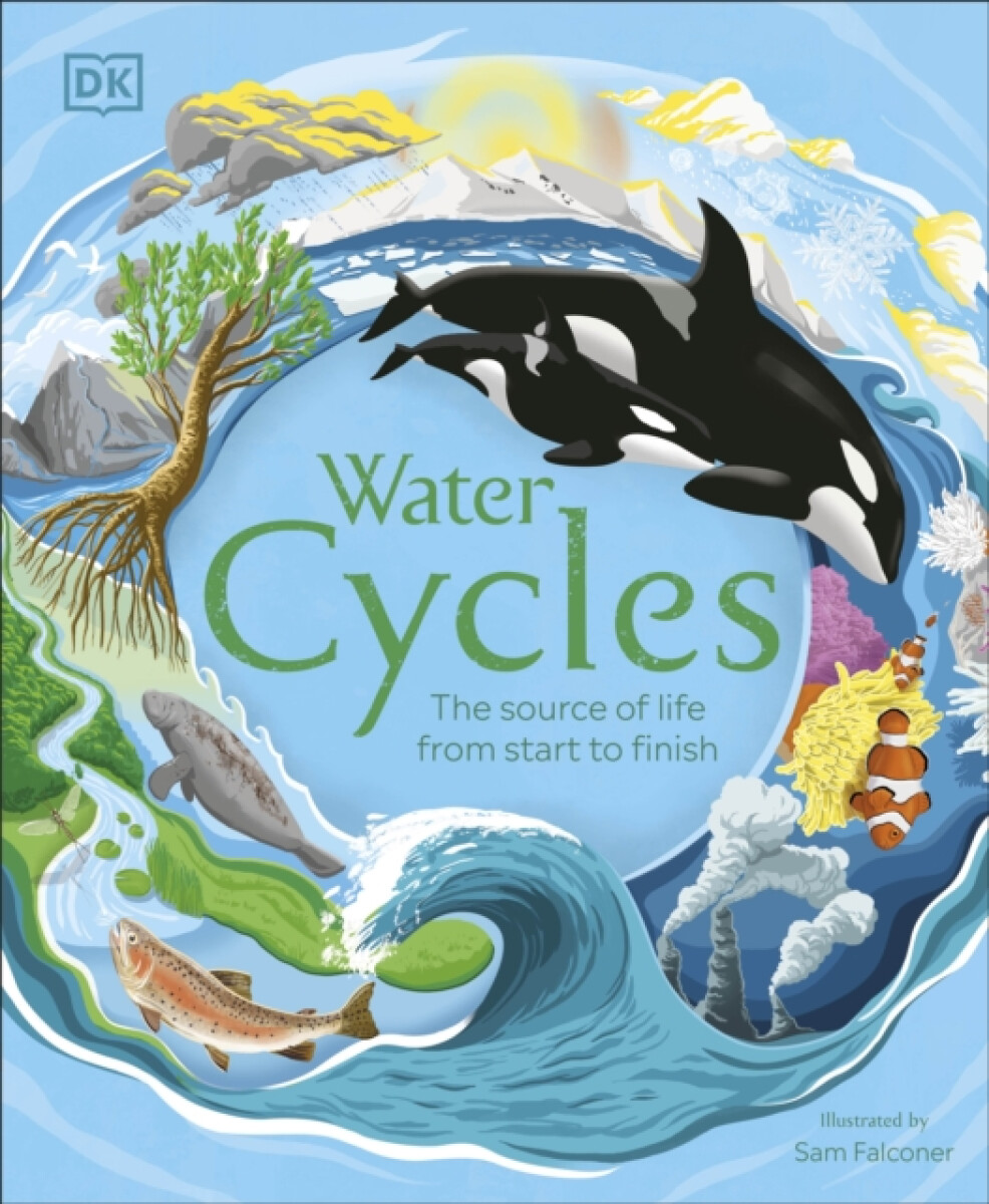Water Cycles - DK