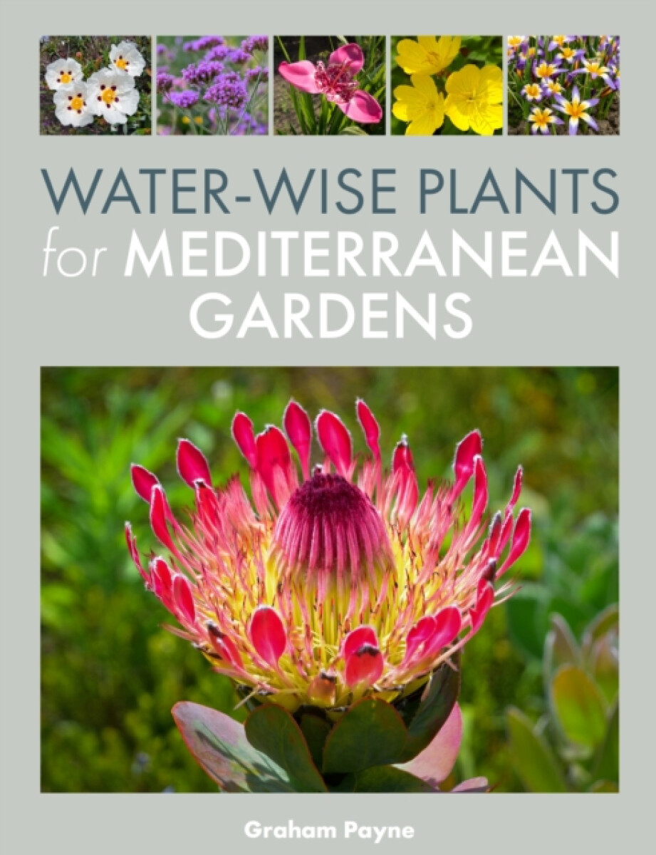 Kniha Water-Wise Plants for Mediterranean Gardens