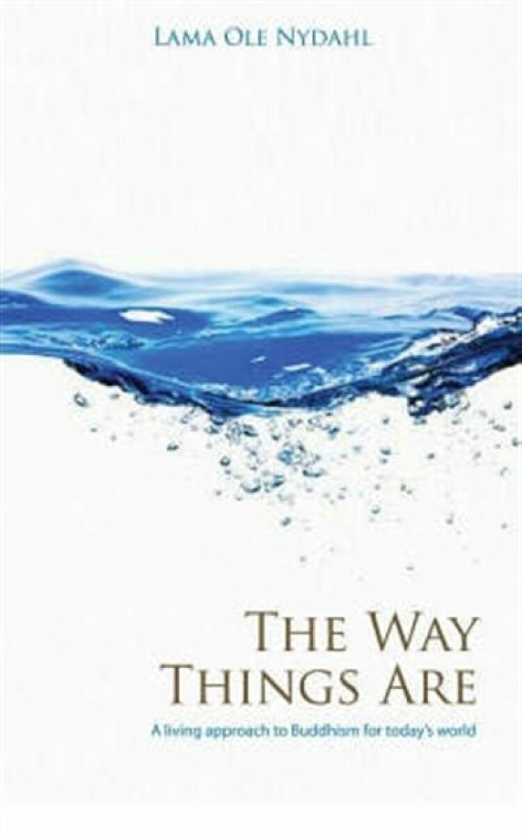 Kniha Way Things Are, The – A Living Approach to Buddhism