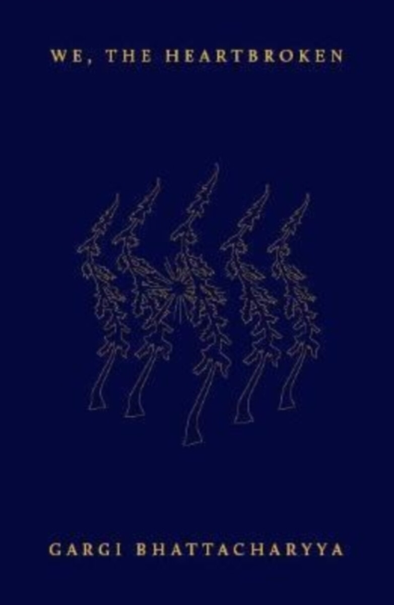 Kniha We, the Heartbroken