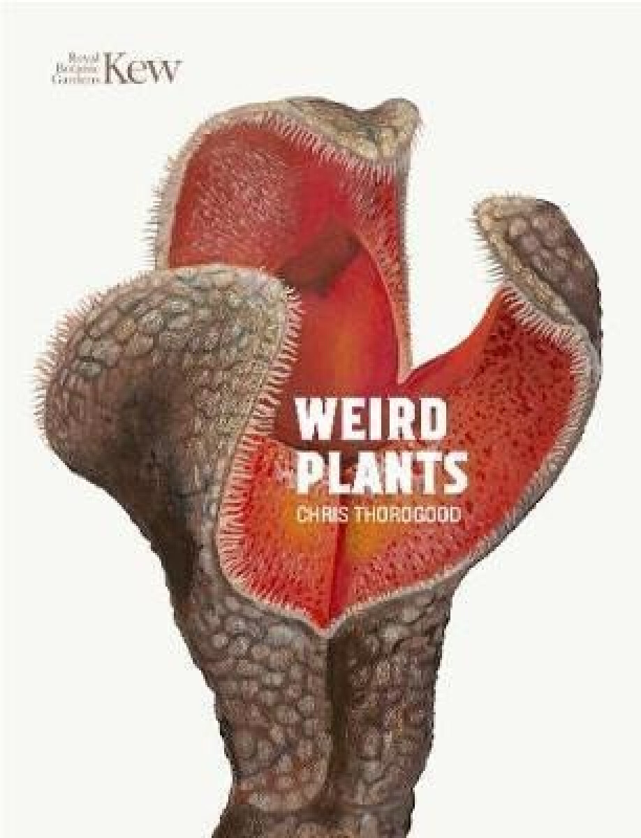 Kniha Weird Plants