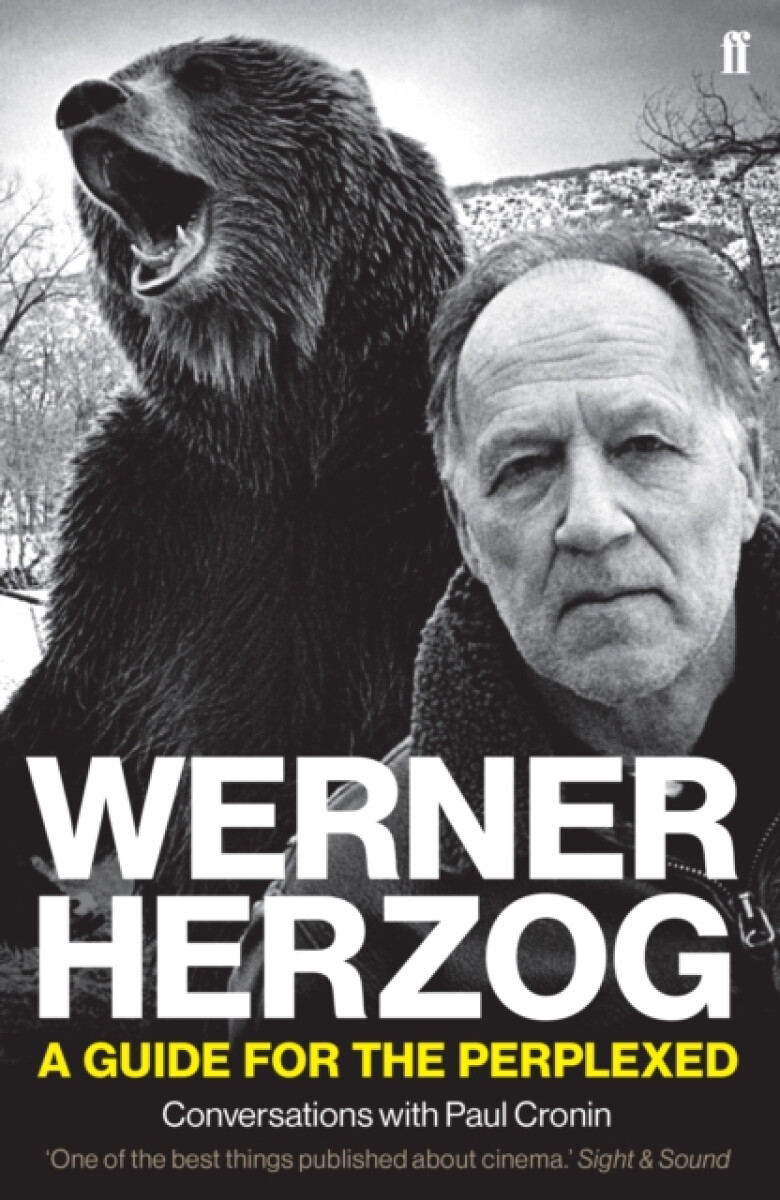 Kniha Werner Herzog – A Guide for the Perplexed