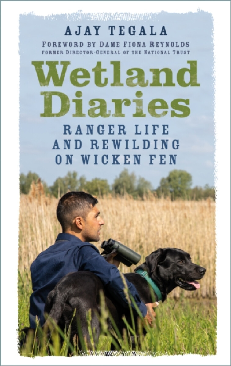 Kniha Wetland Diaries