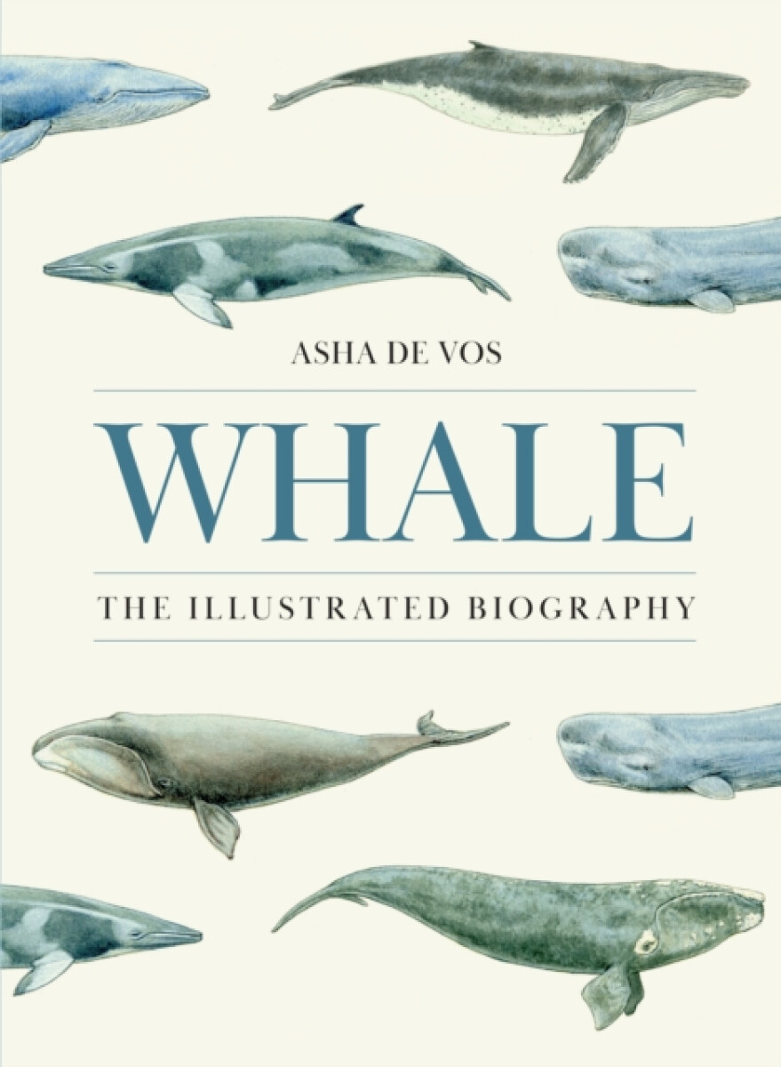 Kniha Whale