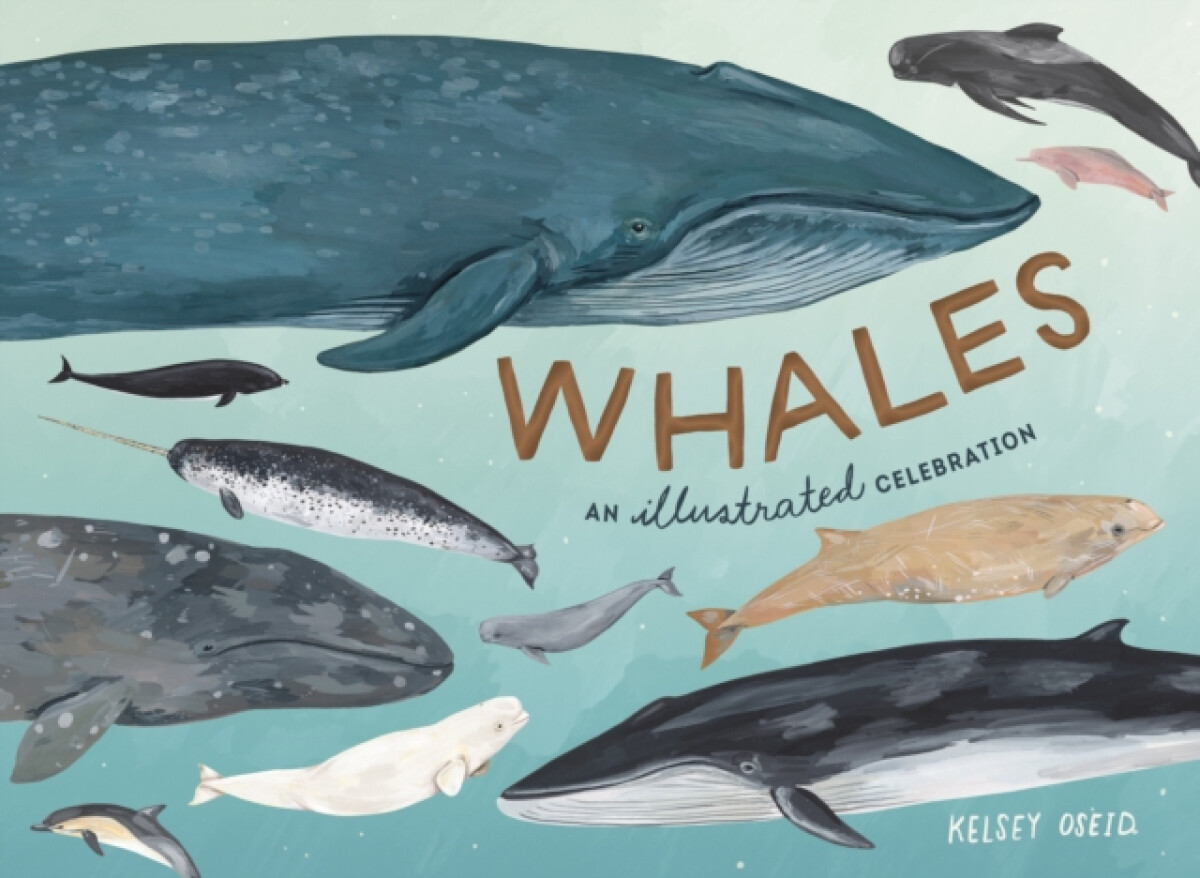 Kniha Whales