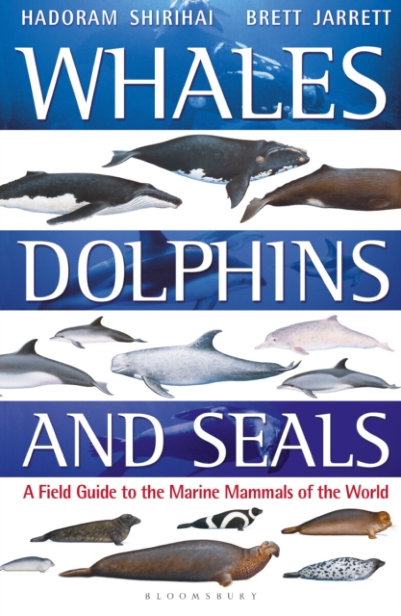 Kniha Whales, Dolphins and Seals