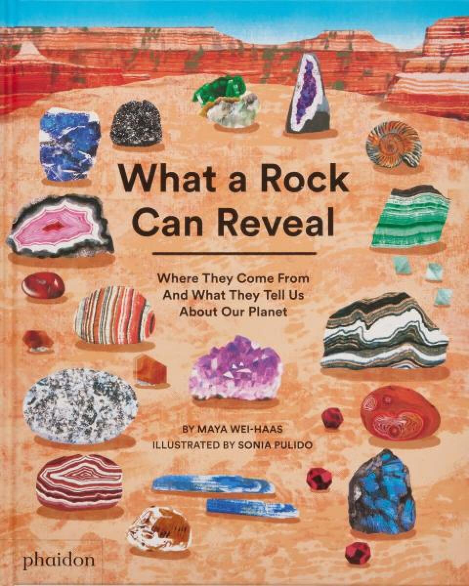 Kniha What a Rock Can Reveal