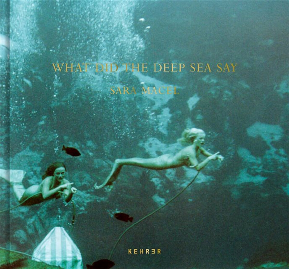 Kniha What Did the Deep Sea Say