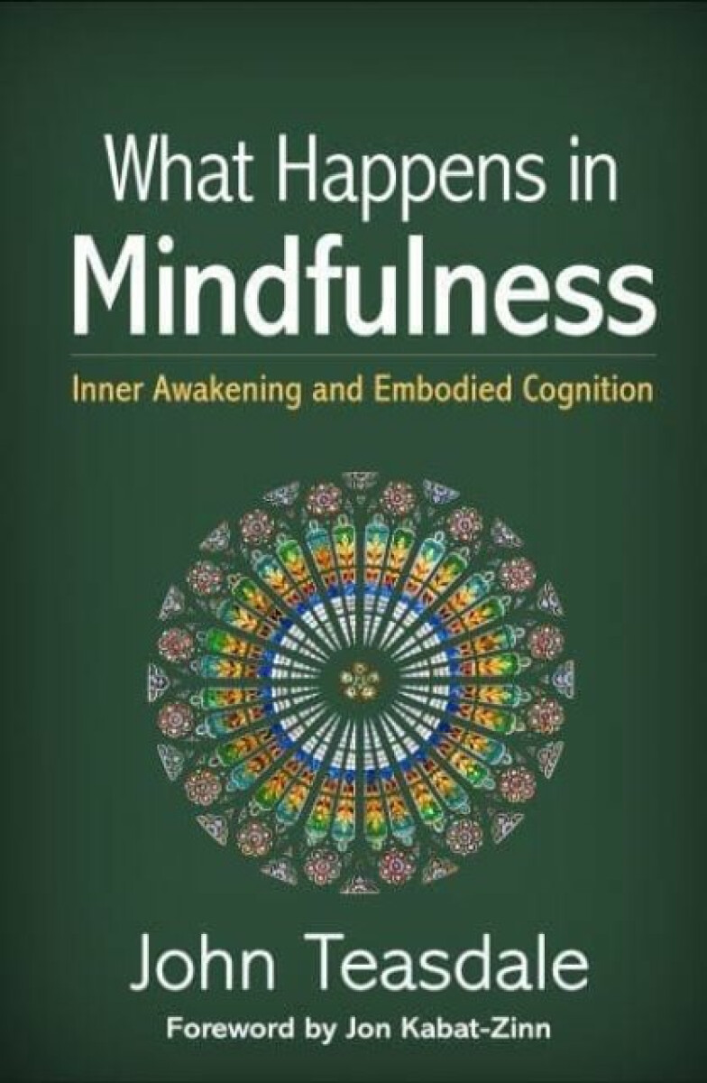 Kniha What Happens in Mindfulness