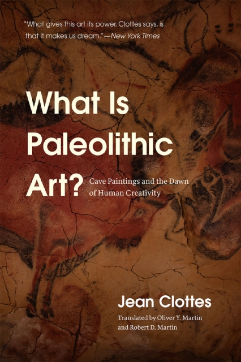 Kniha What Is Paleolithic Art?