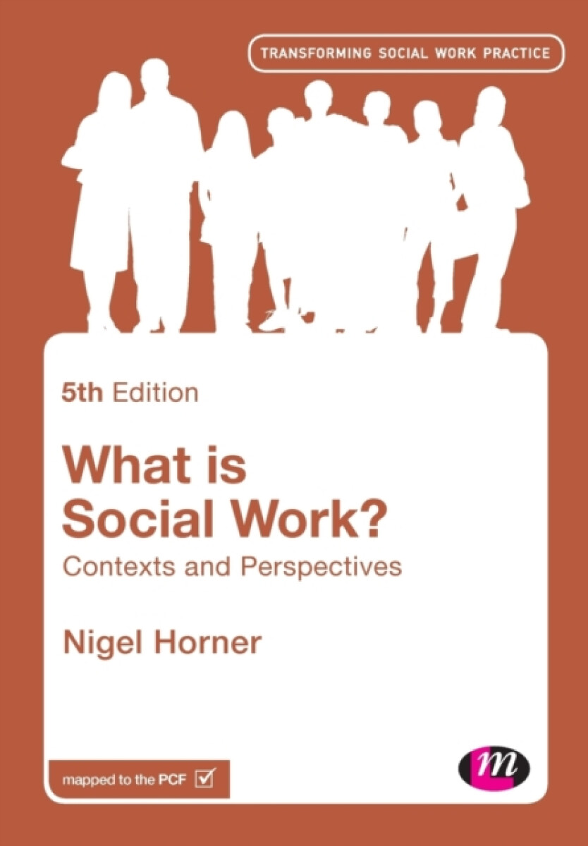 Kniha What is Social Work?