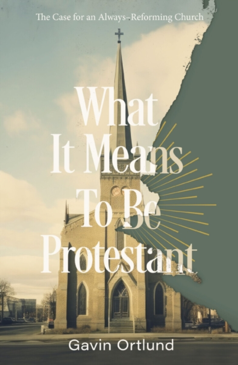 Kniha What It Means to Be Protestant
