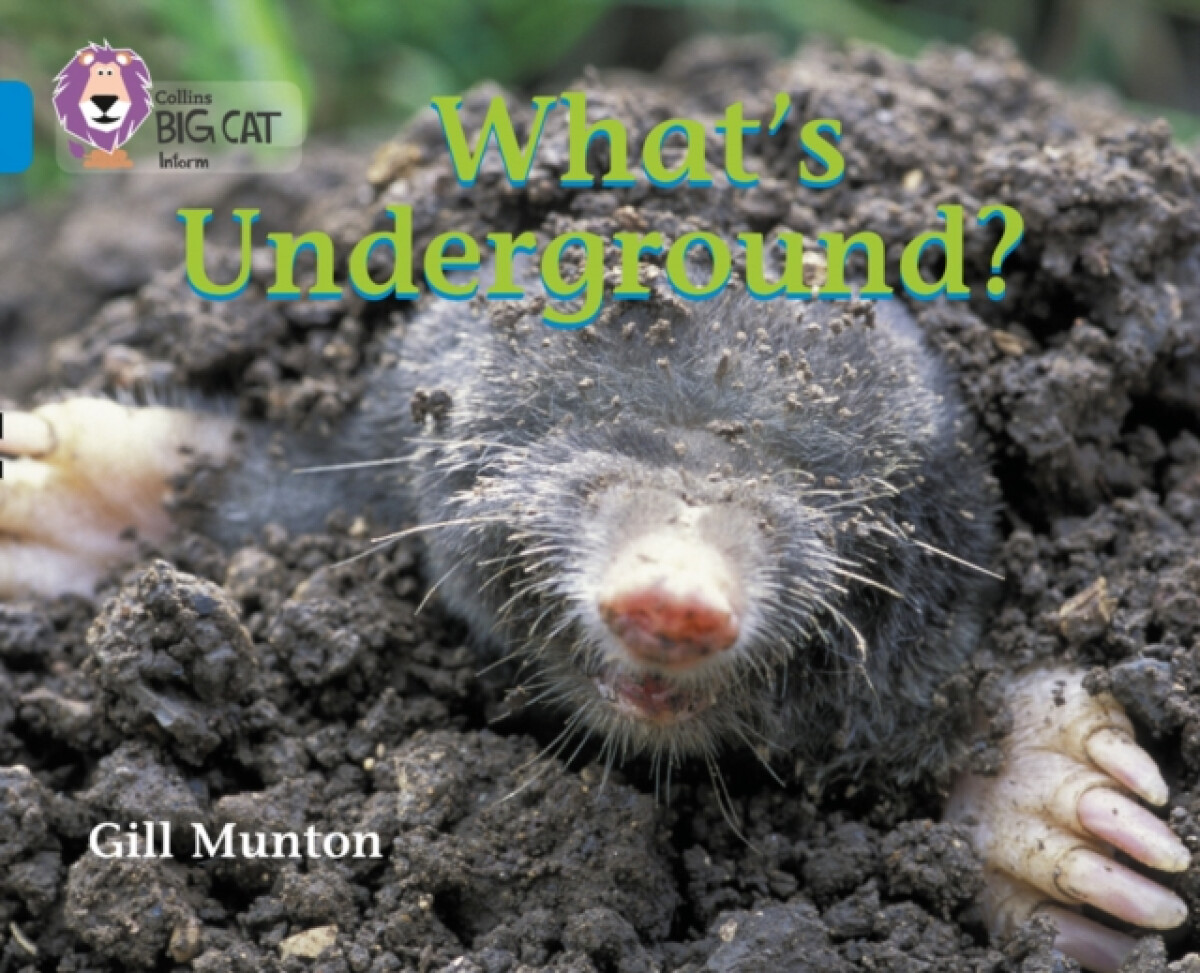 Kniha What’s Underground