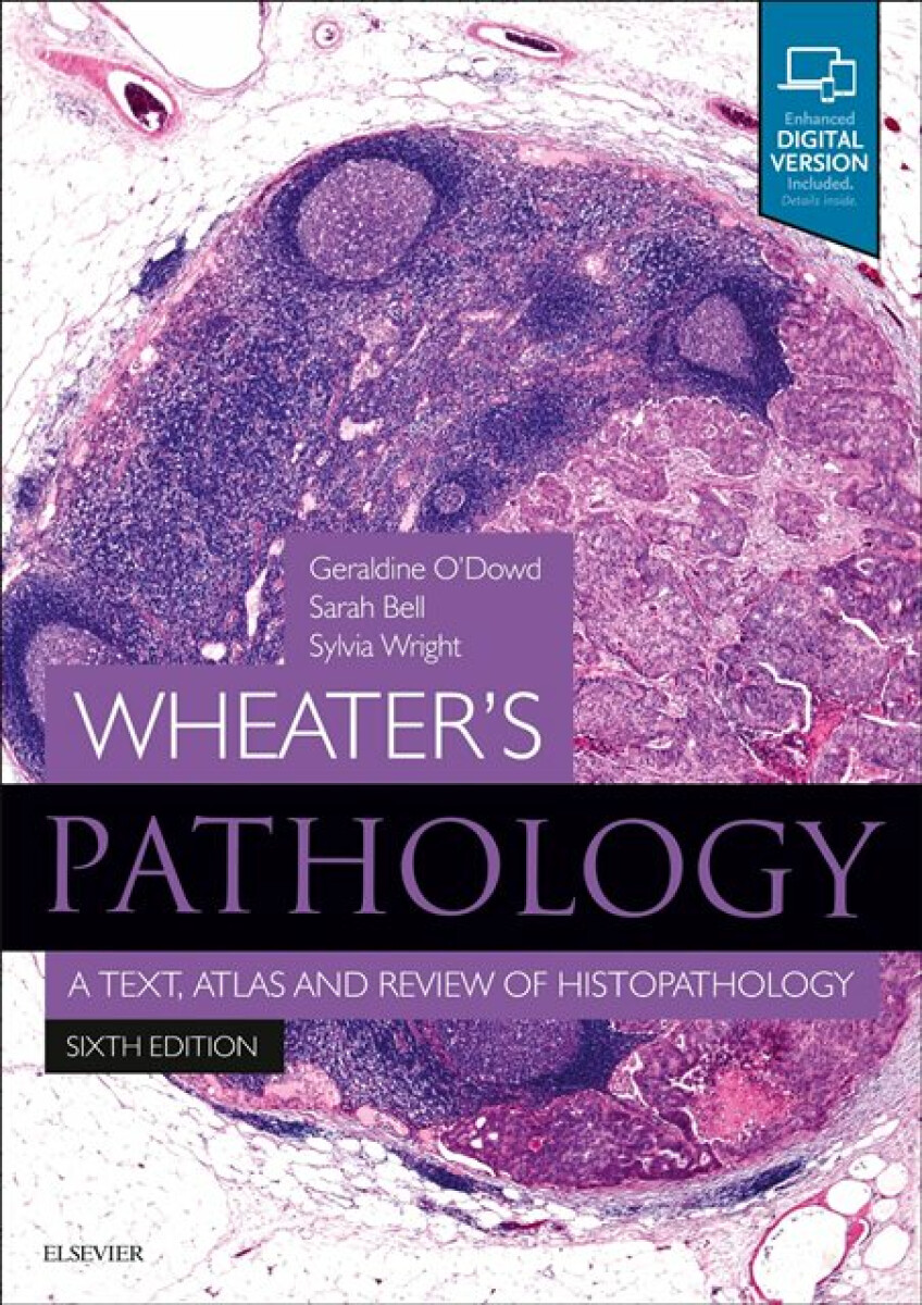 Kniha Wheater's Pathology: A Text, Atlas and Review of Histopathology