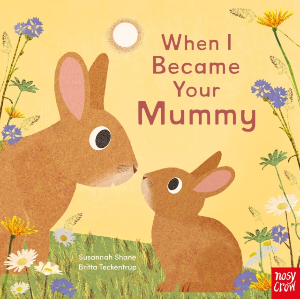 Levně When I Became Your Mummy - Susannah Shane
