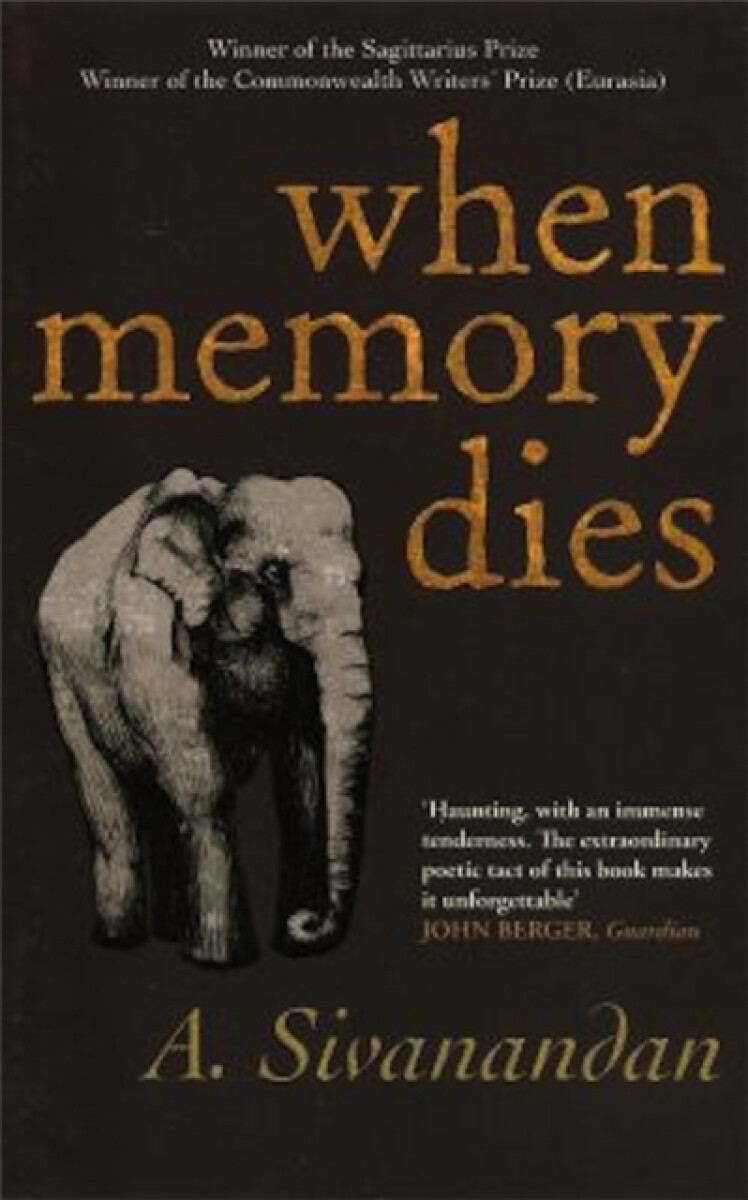 Kniha When Memory Dies